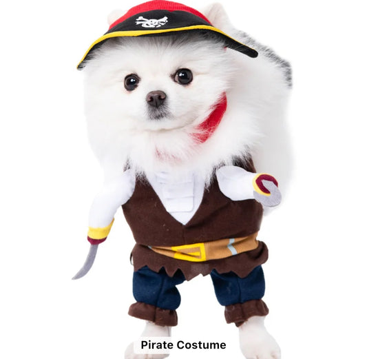 Pet Pirate Halloween Custome